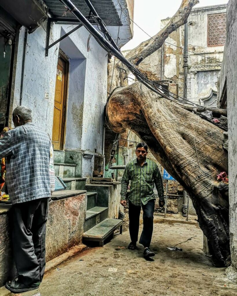 Drukke straten van Oud Delhi - tips om een zakkenroller te herkennen