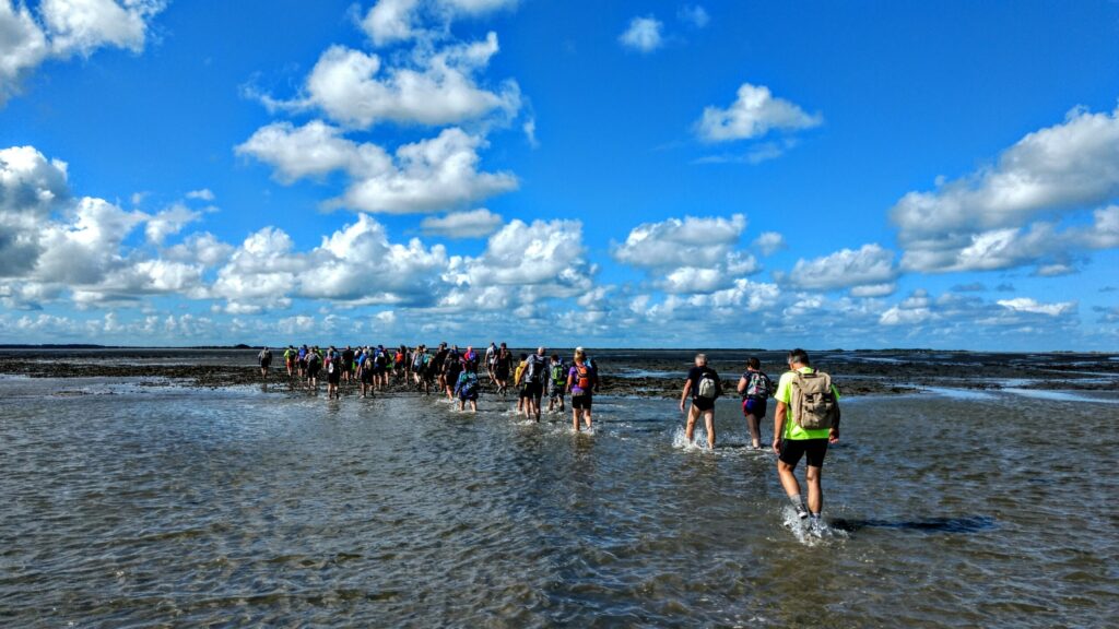 Go Mudflat Hiking Wadden Sea, The Netherlands - Walk in the Wadden Sea - UNESCO Heritage