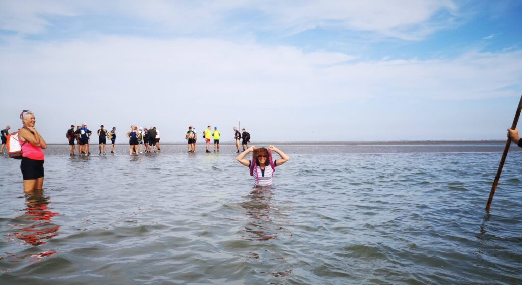 Go Mudflat Hiking Wadden Sea, The Netherlands - Walk in the Wadden Sea - UNESCO Heritage