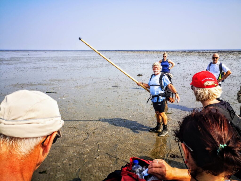 Go Mudflat Hiking Wadden Sea, The Netherlands - Walk in the Wadden Sea - UNESCO Heritage