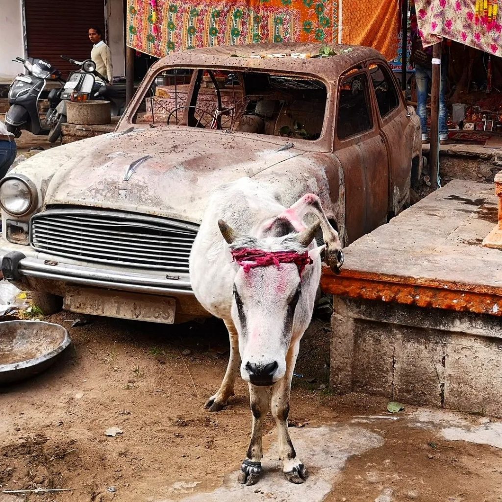 Incredible India - Straatbeeld in de Heilige stad Pushkar