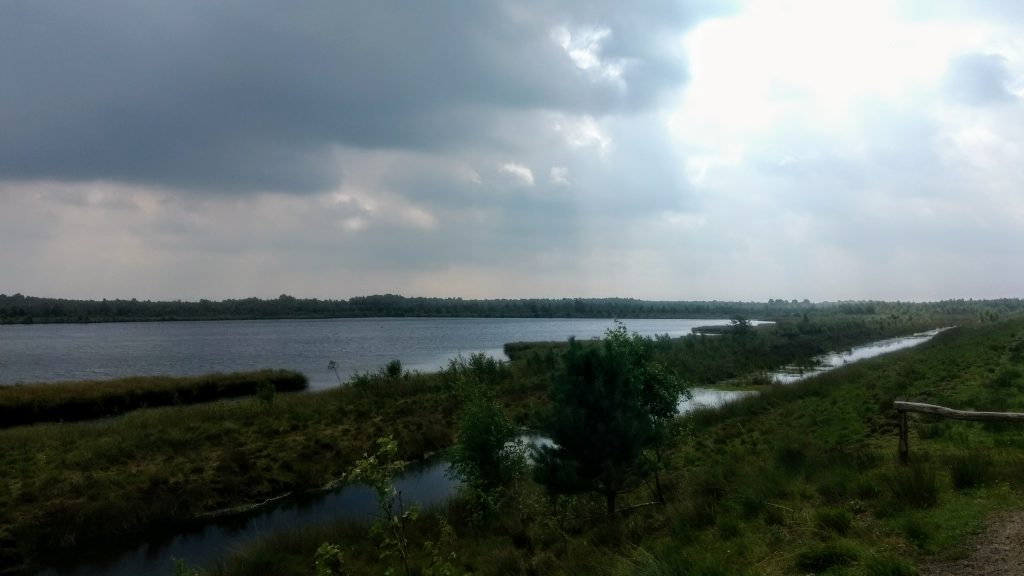Wandelen in de Engbertsdijksvenen 3 startpunten voor een korte wandeling