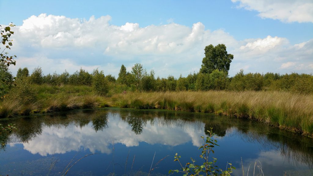 Weerkaatsing van de wolken in het water Engbertsdijksvenen Twenterand