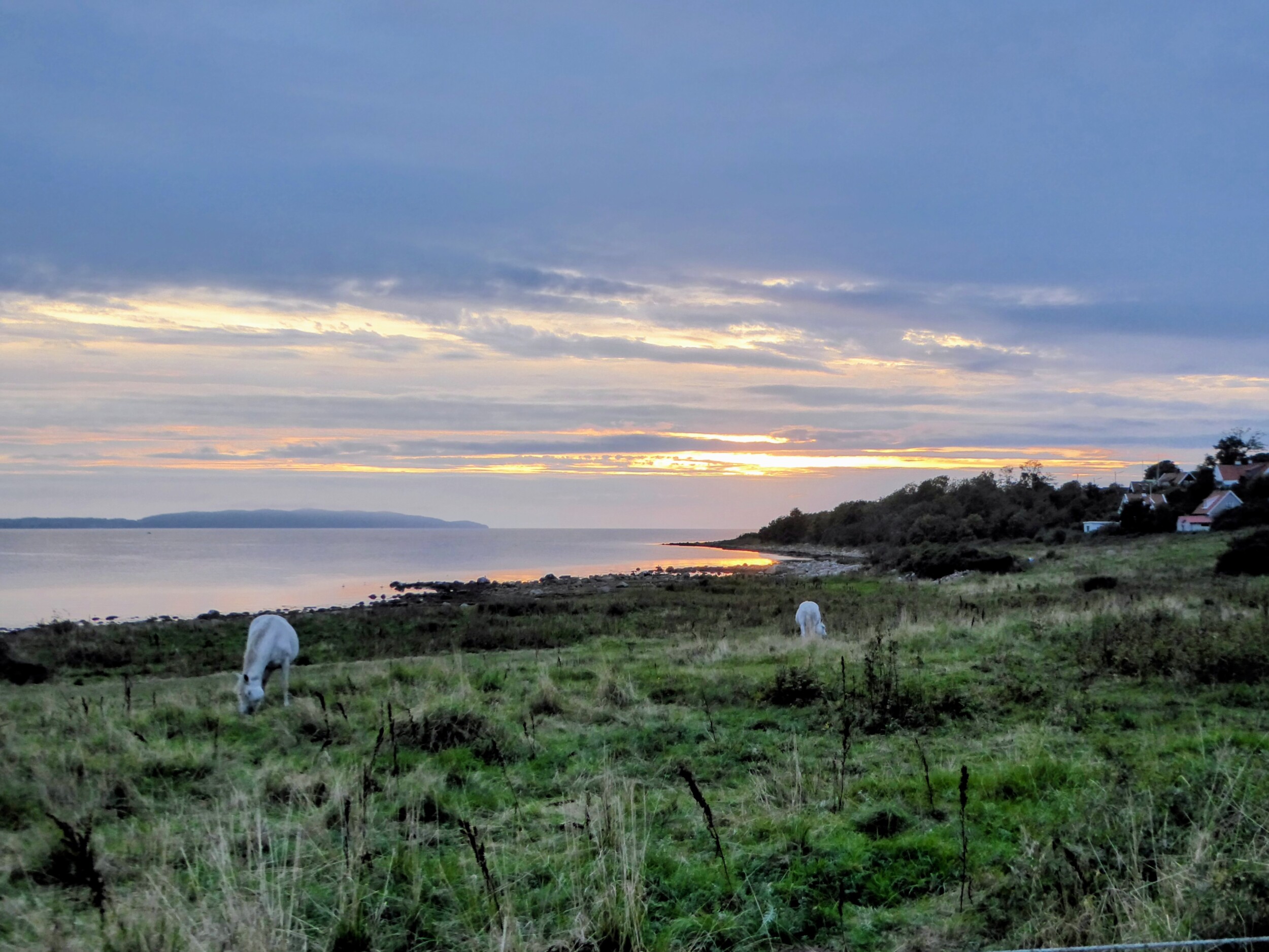 Zonsondergang langs de kust van Zweden