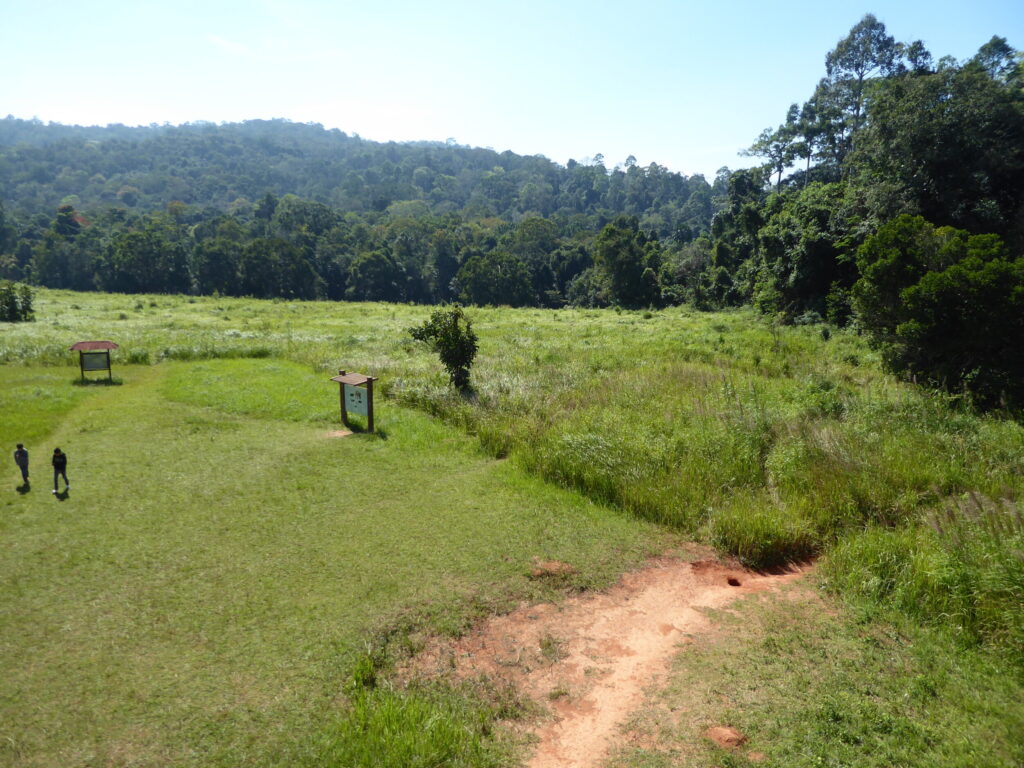 Wandelen in Khao Yai National Park - Thailand