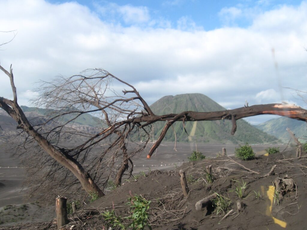 vulkaan Bromo bezoeken Java