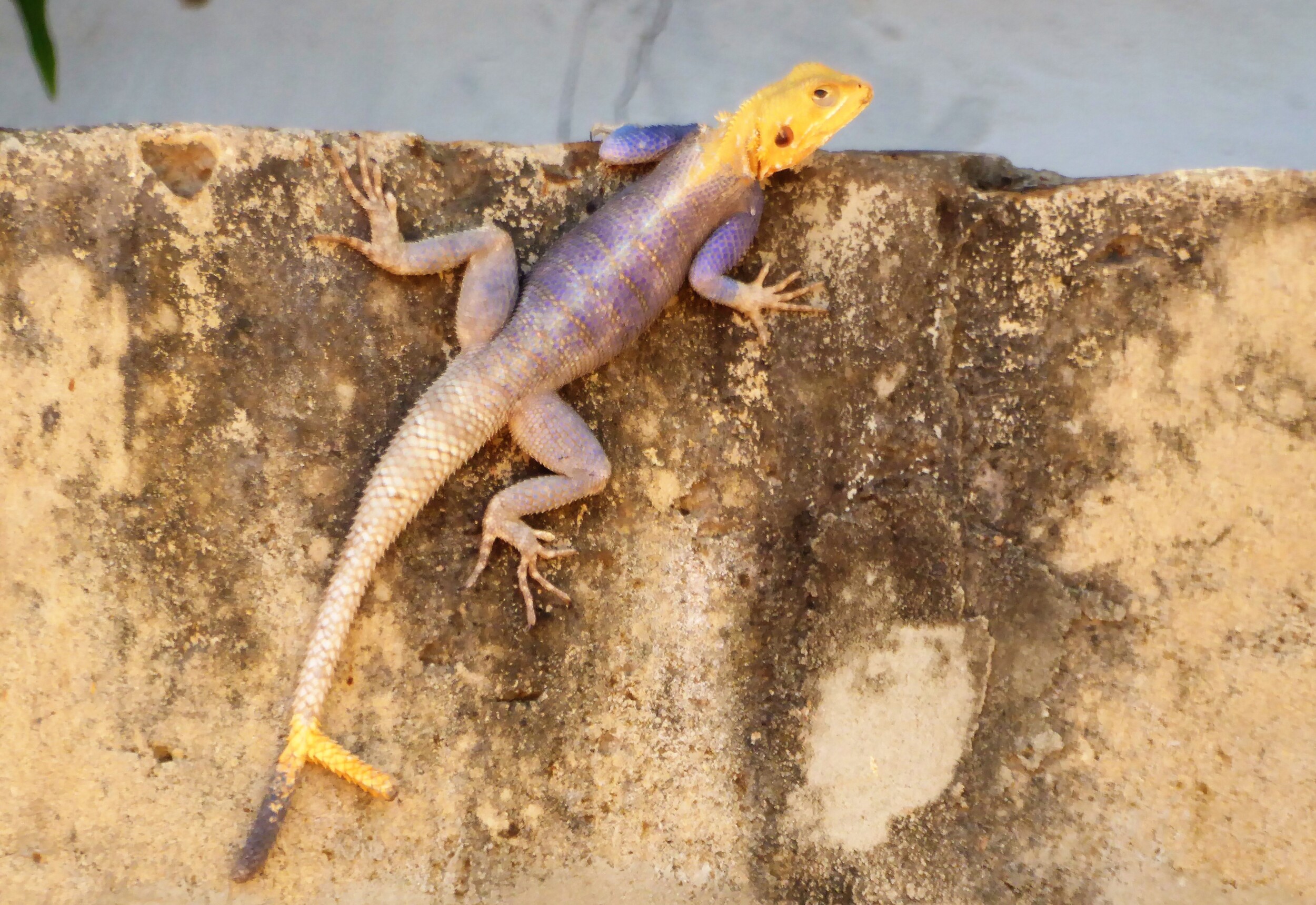 Wassu & Kuntaur bezoeken in The Gambia