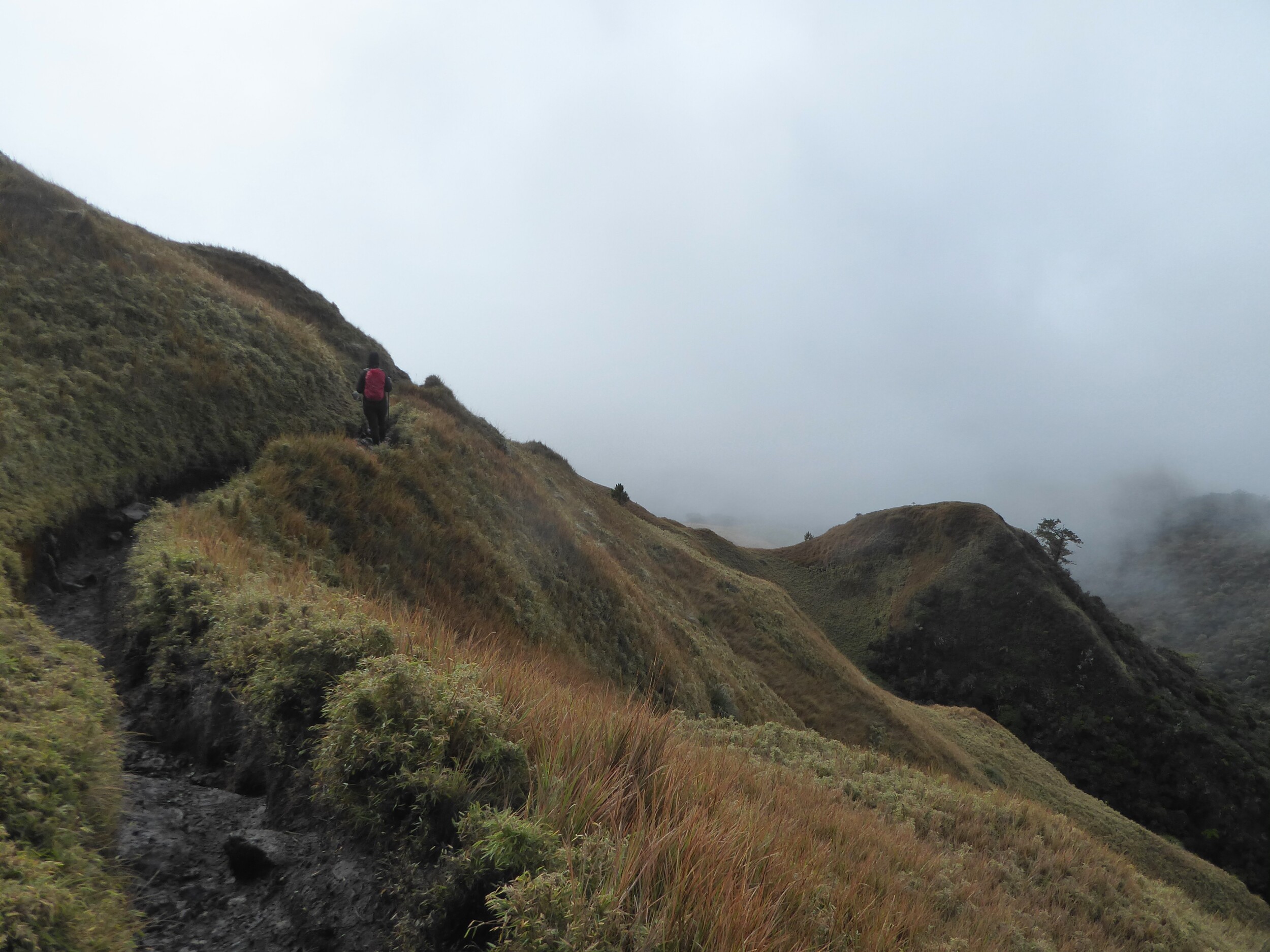 Mt Pulag tijdens zonsopgang