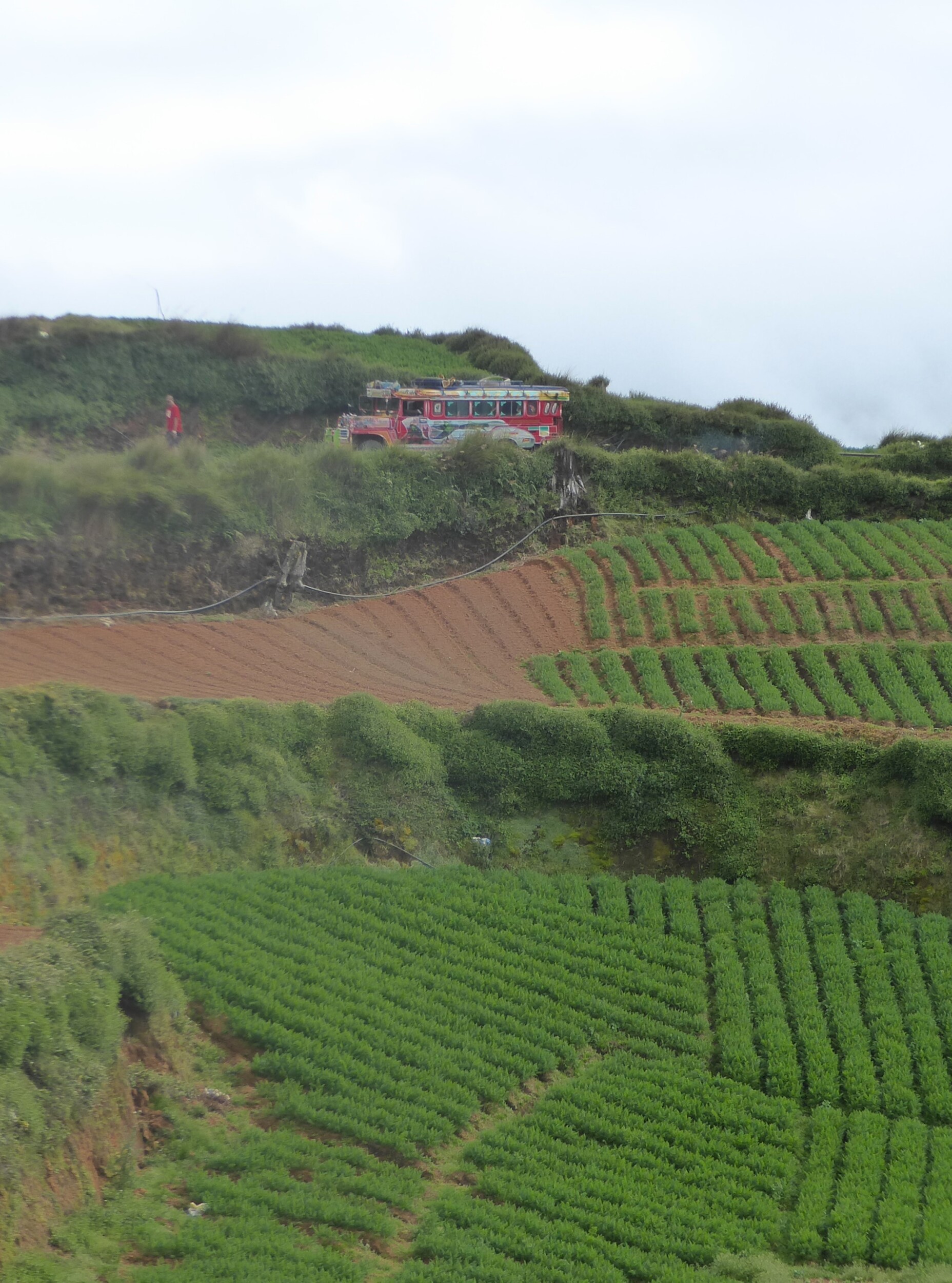 Mt Pulag nabij de Homestay
