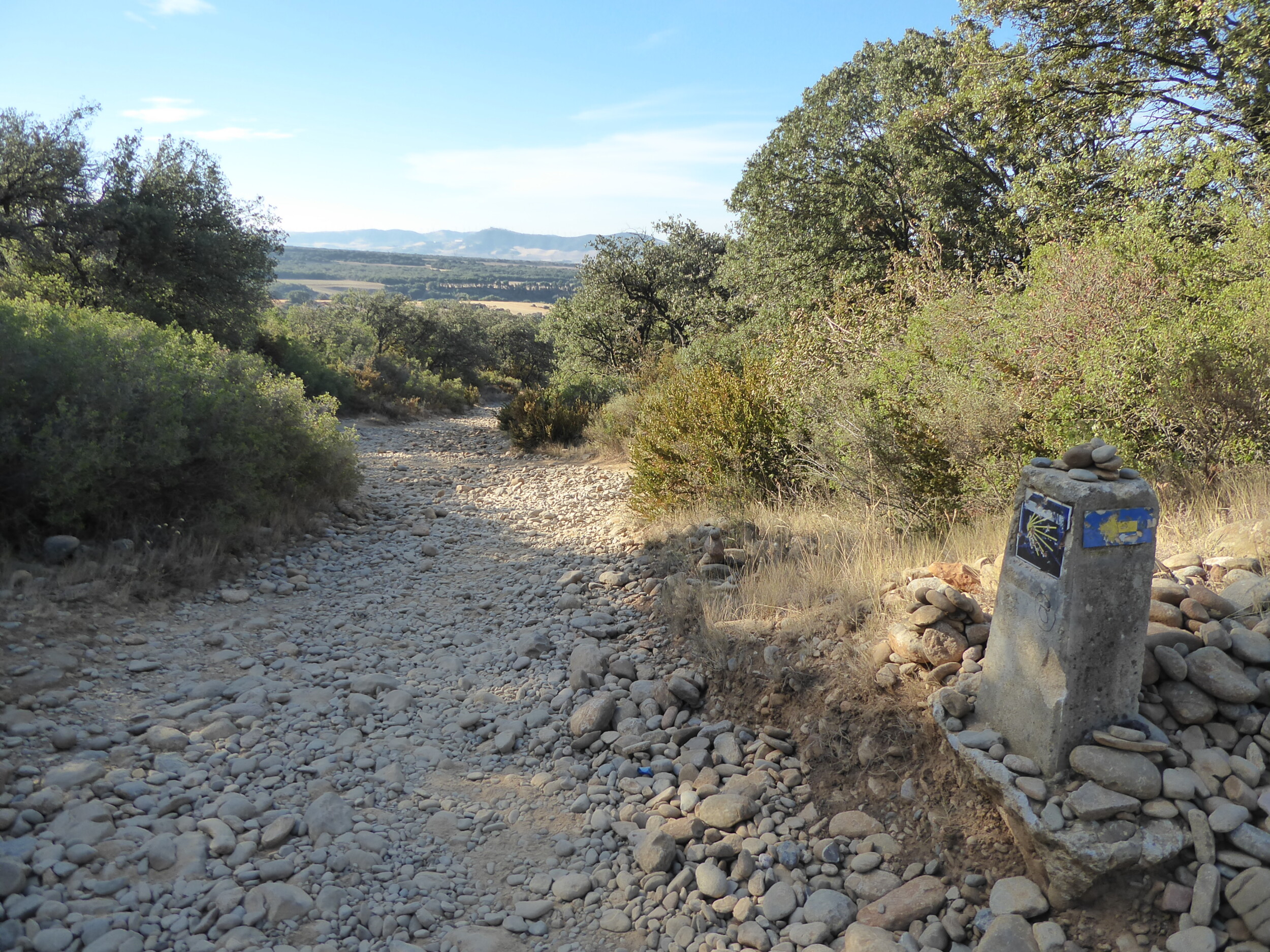 Camino Frances eerste 200 km