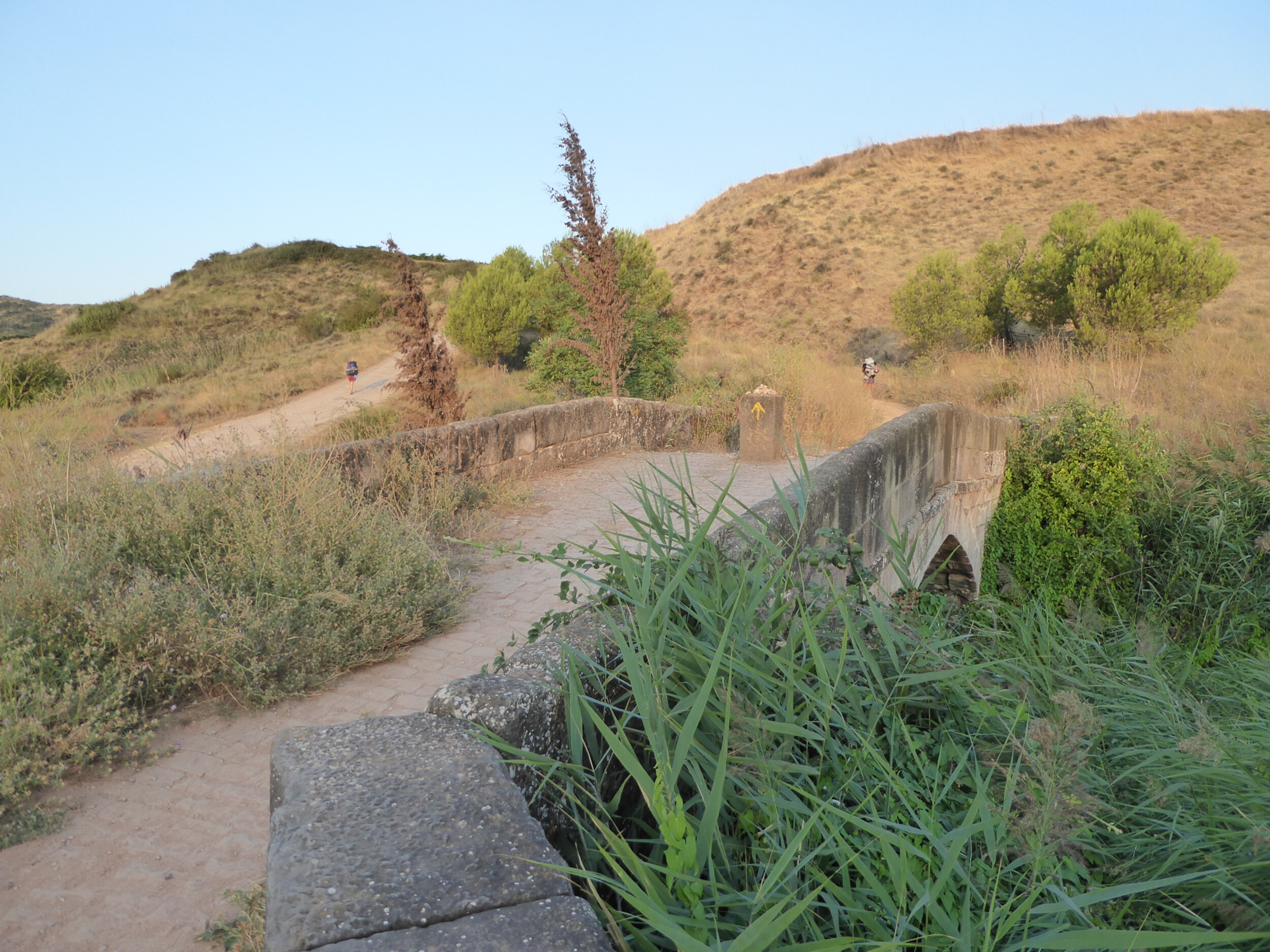 Camino Frances eerste 200 km