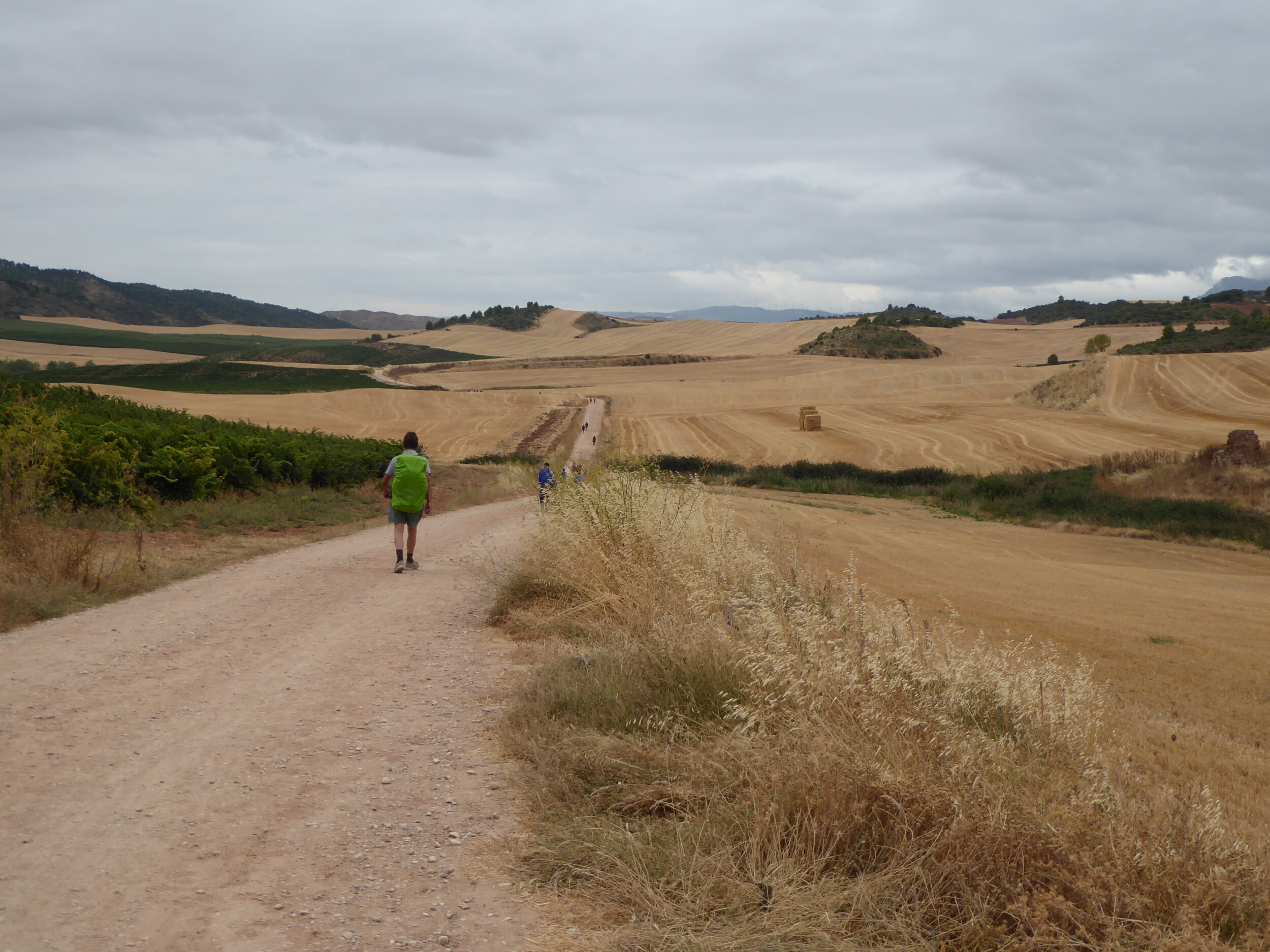 Camino Frances eerste 200 km