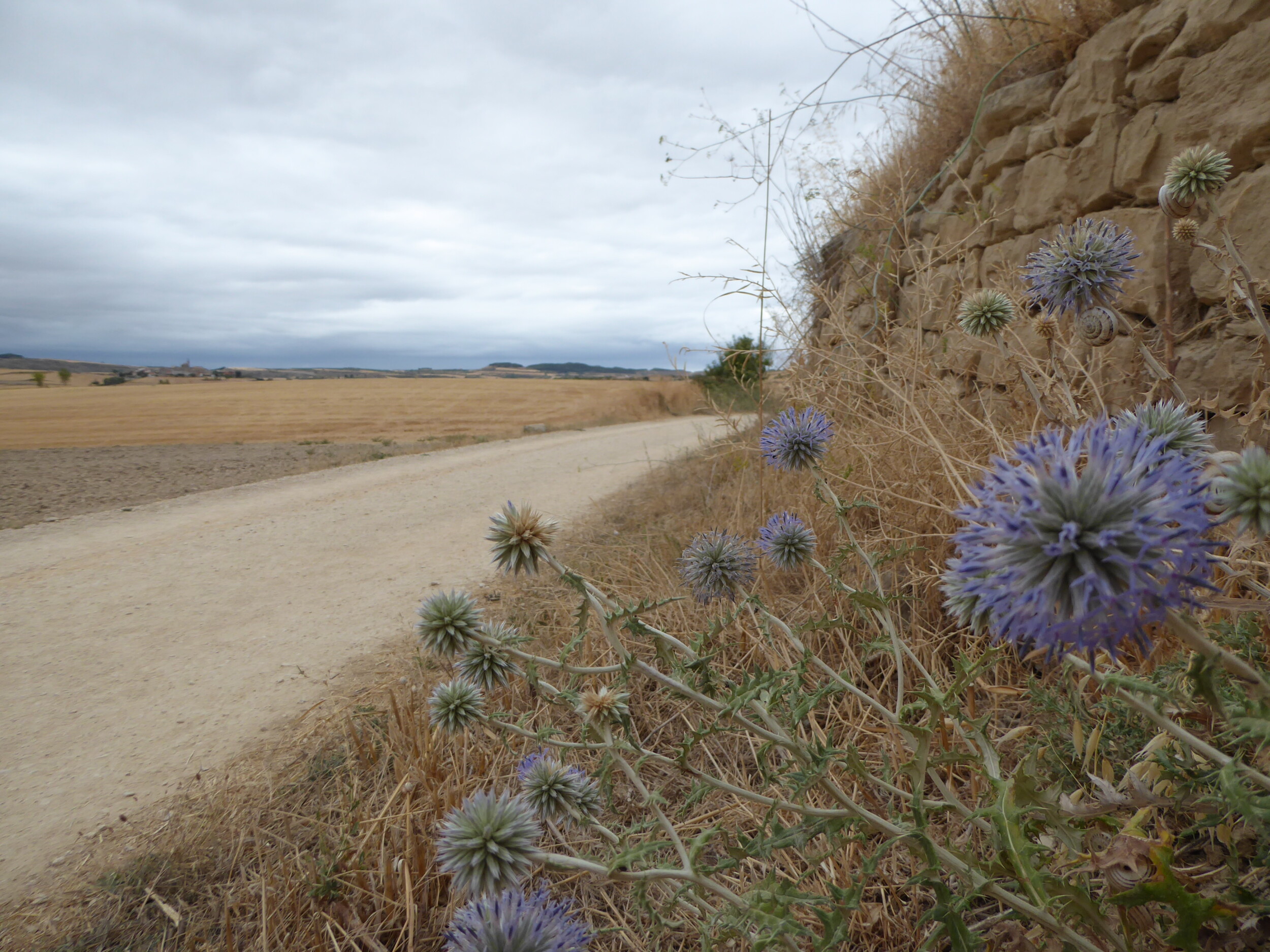 Camino Frances eerste 200 km