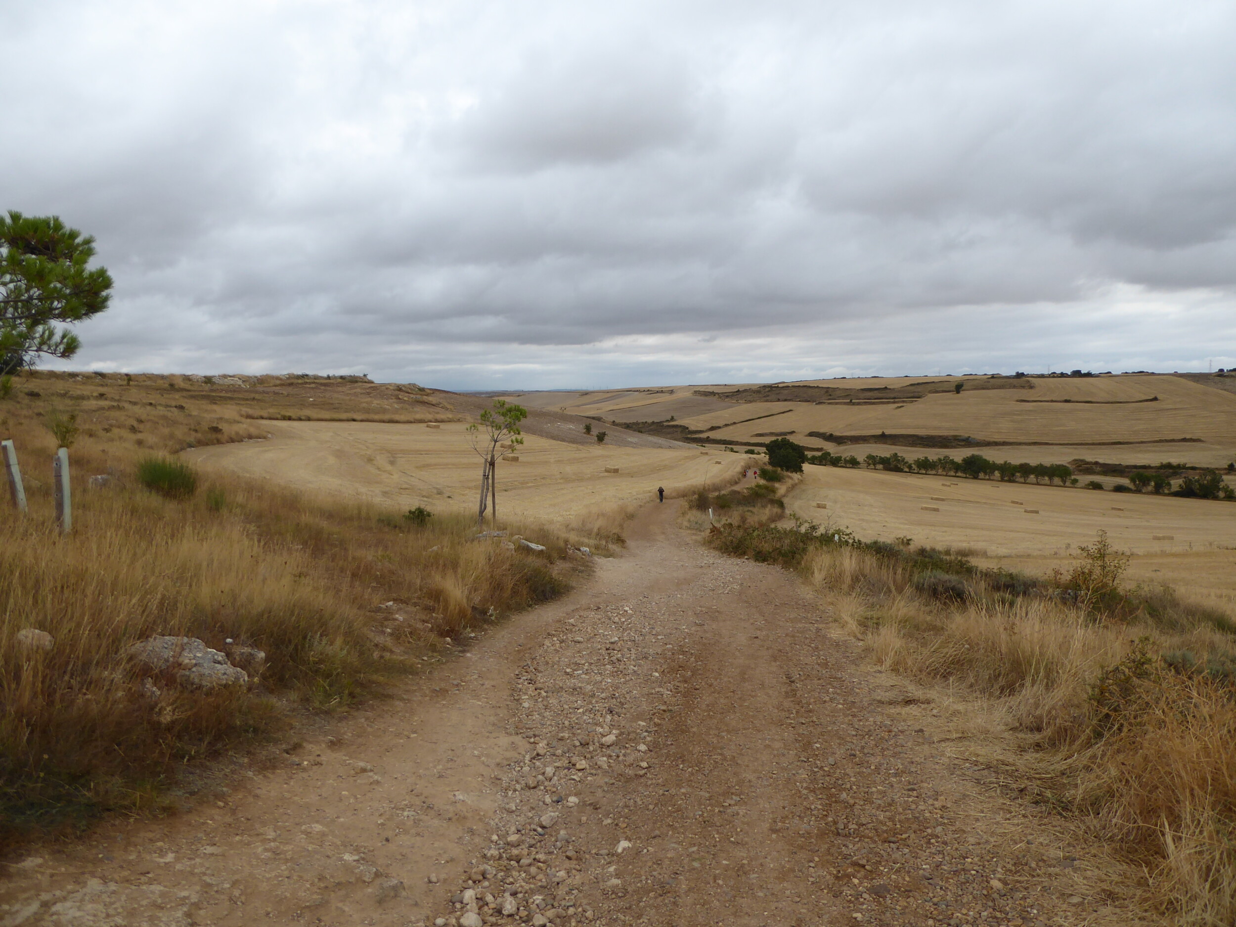 De Meseta op de Camino Frances - Spanje