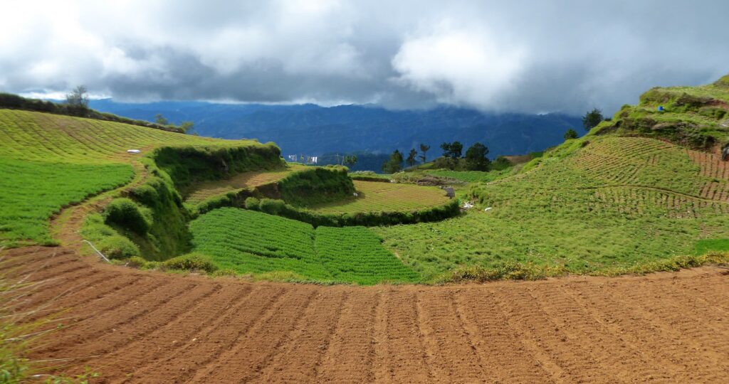 Mt Pulag nabij de Homestay