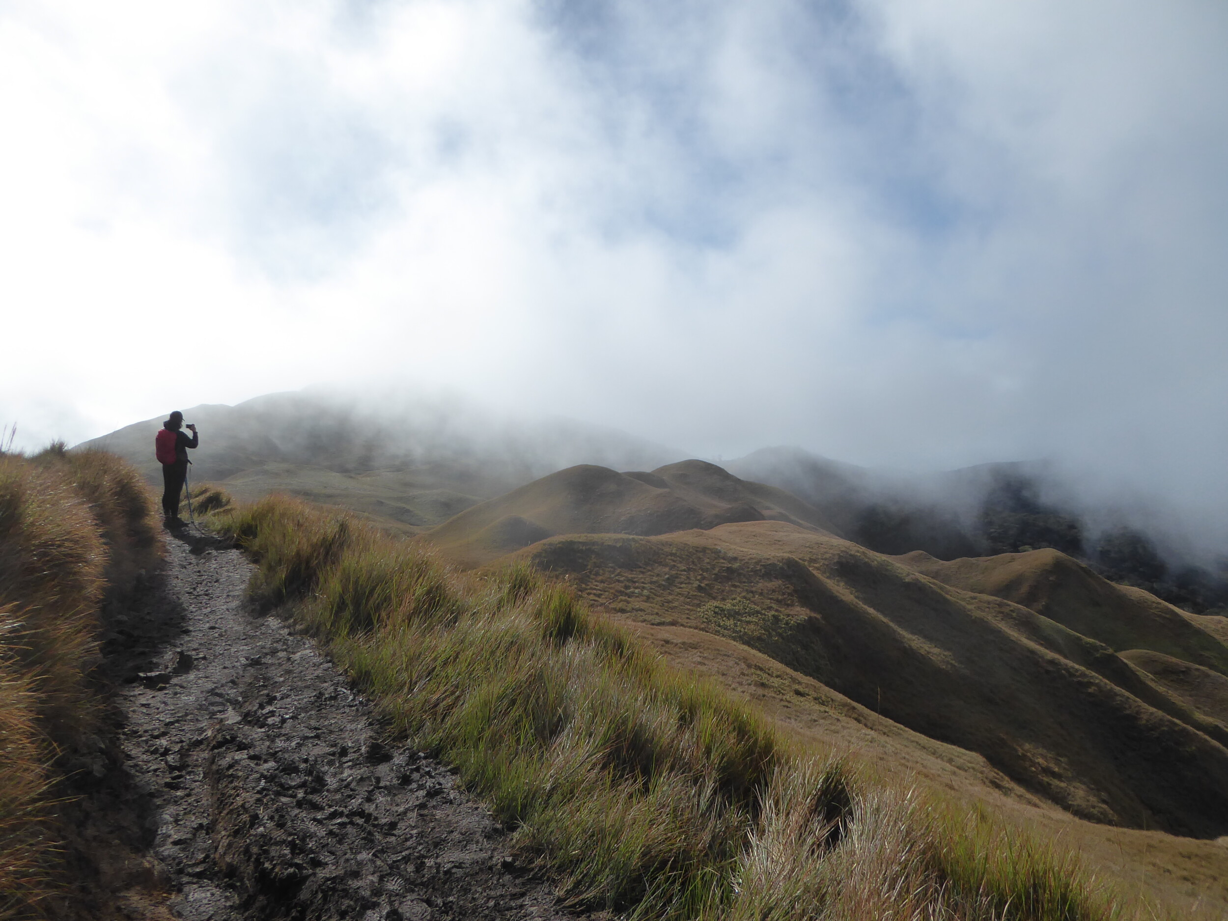 Trekking naar de Top van Mt. Pulag: Mijn Avontuur naar de Hoogste Berg van Luzon