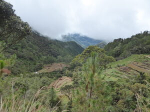 Wandelen vanuit op Mt Pulag naar het dorp