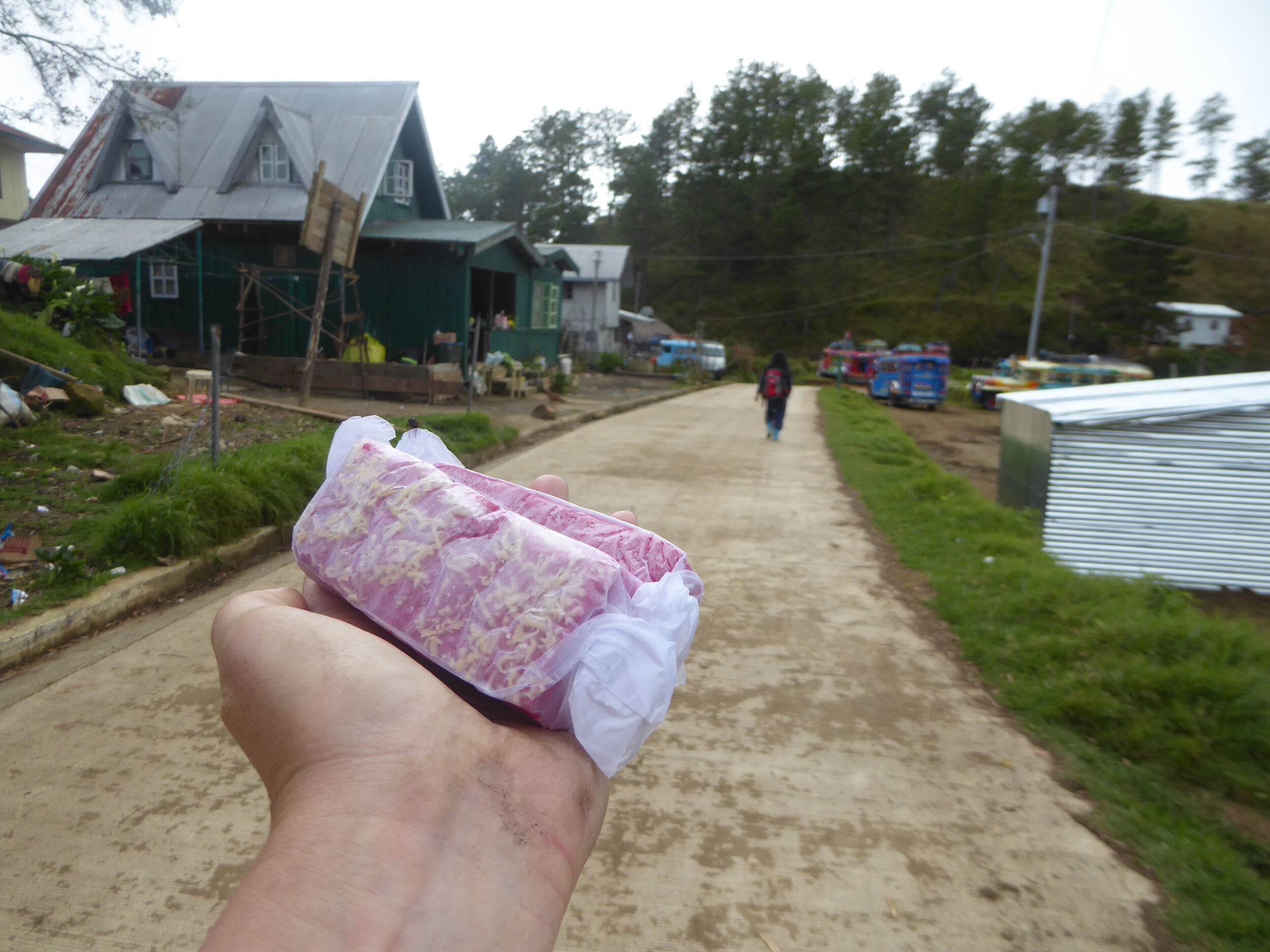 Heerlijke roze cake als beloning - Mt. Pulag hike