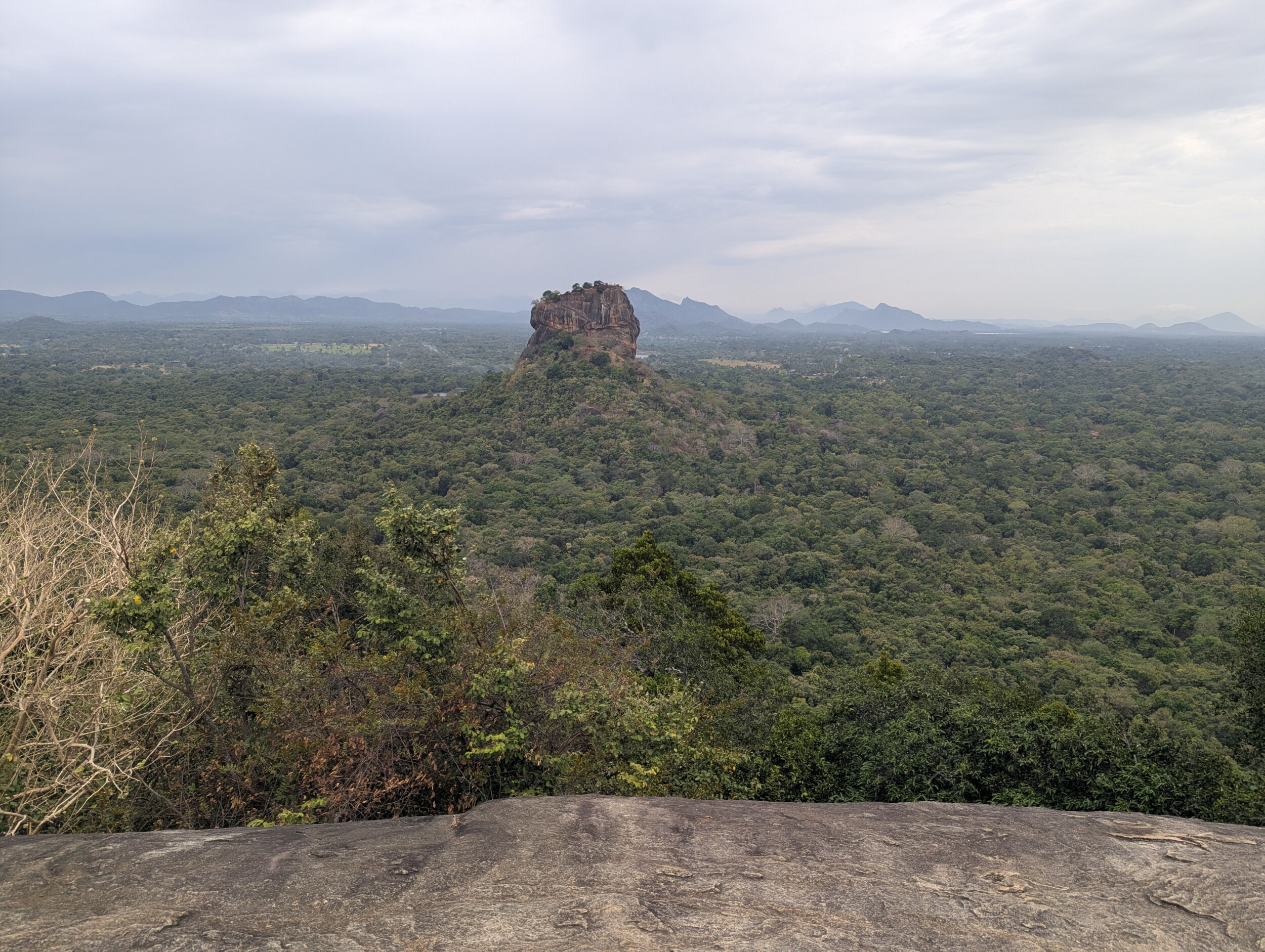 Pidurangala Rock - Sri Lanka