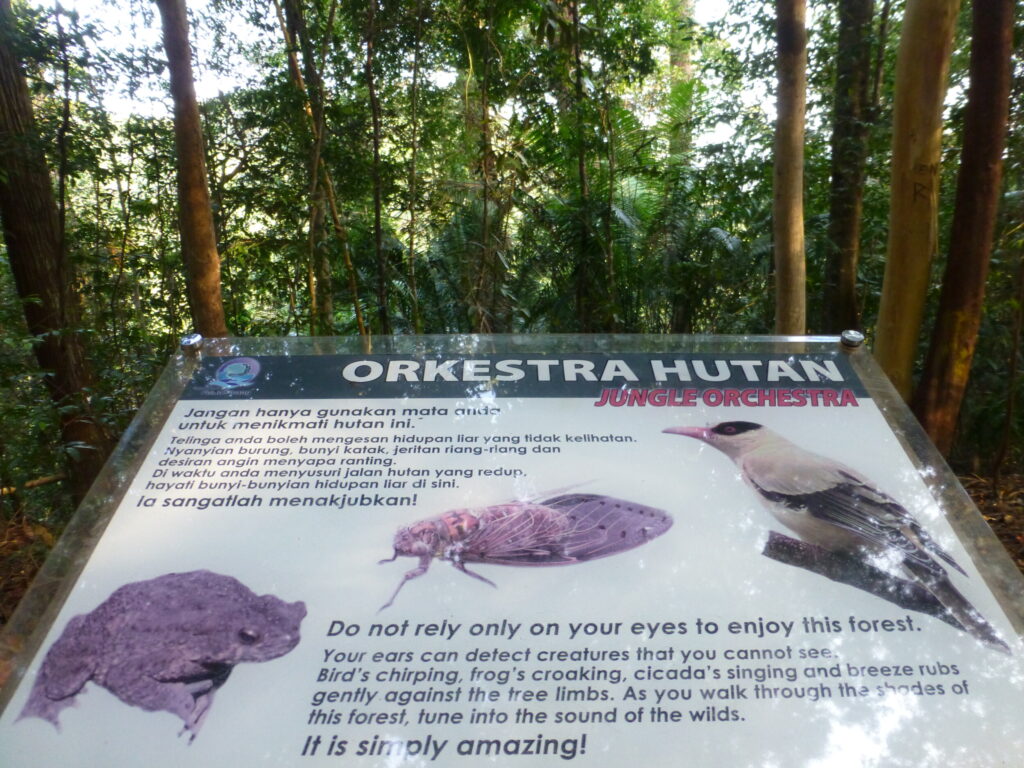 Hiken in het Pulau Penang NP