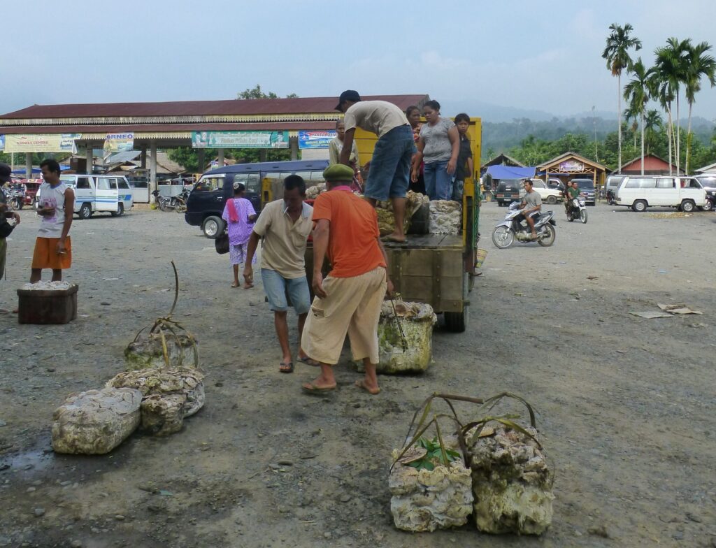 De markt in Bukit Lawang