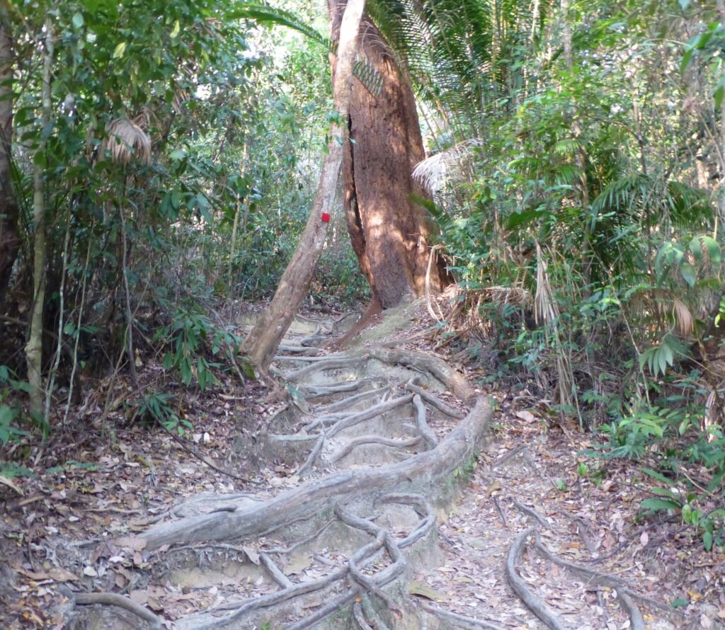 Hiken in het Pulau Penang NP