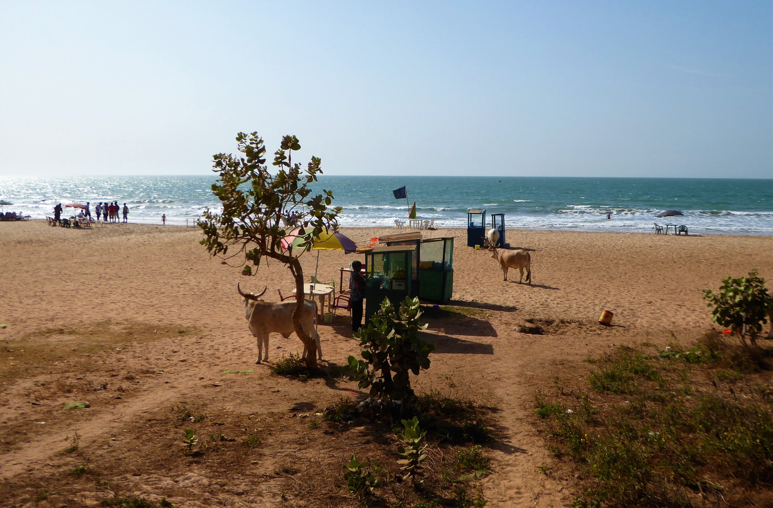 Onderweg naar de Vismarkt van Tanji in The Gambia