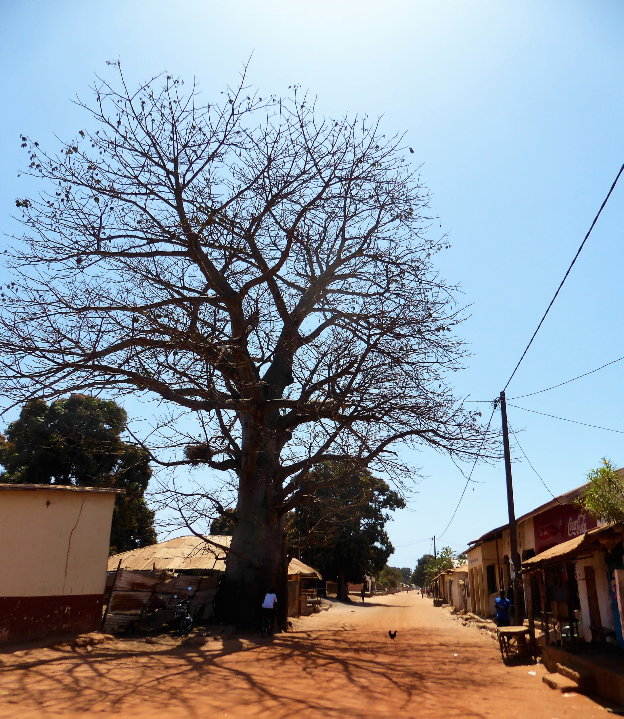 Fietsen naar de Vismarkt van Tanji in The Gambia