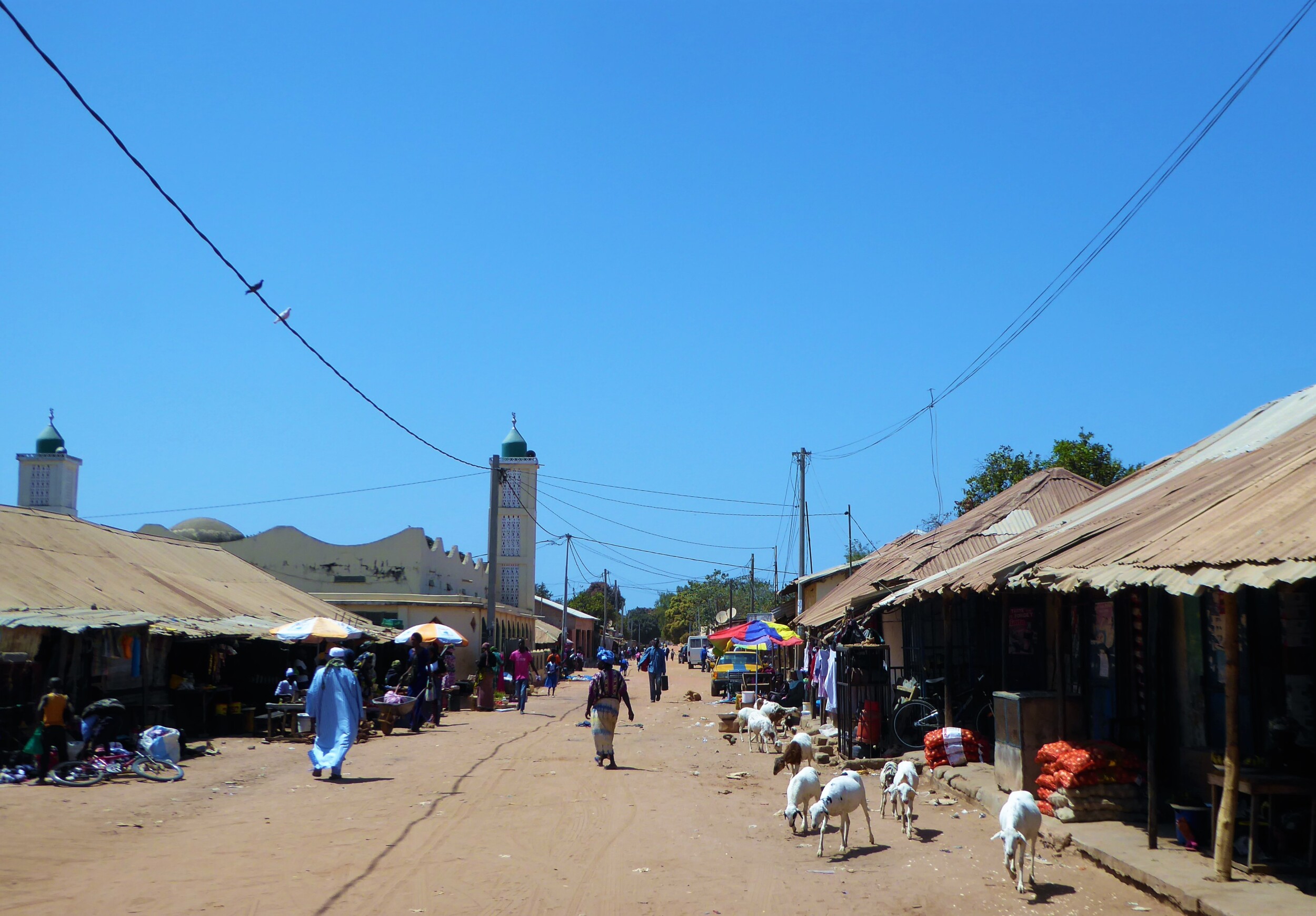 Fietsen naar de Vismarkt van Tanji in The Gambia