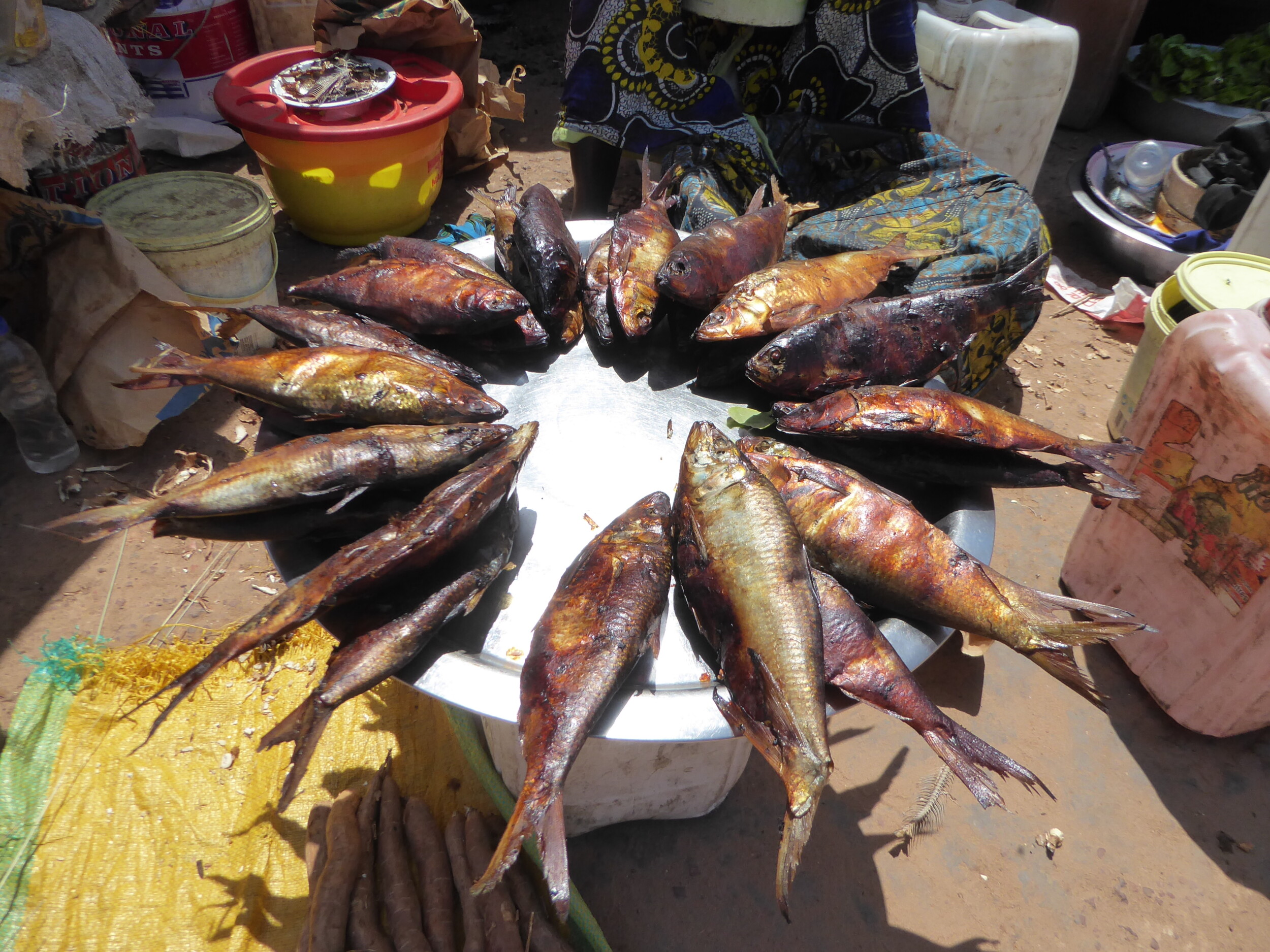 Fietsen naar de Vismarkt van Tanji in The Gambia