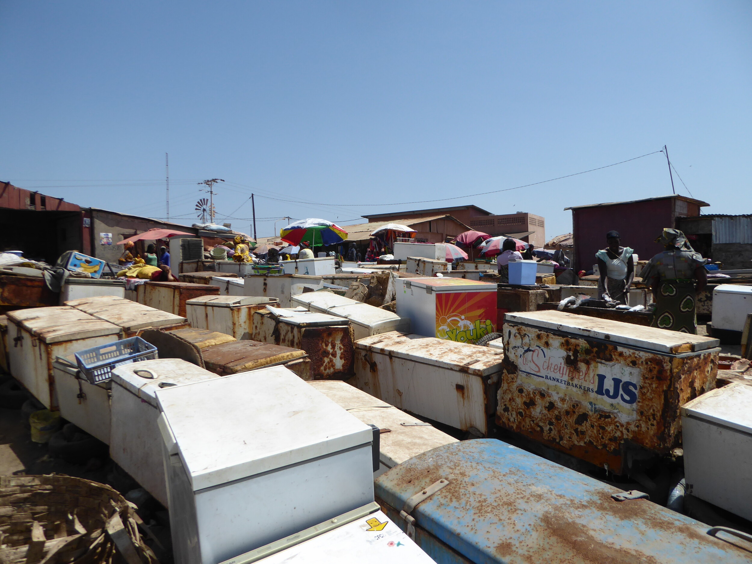 Fietsen naar de Vismarkt van Tanji in The Gambia