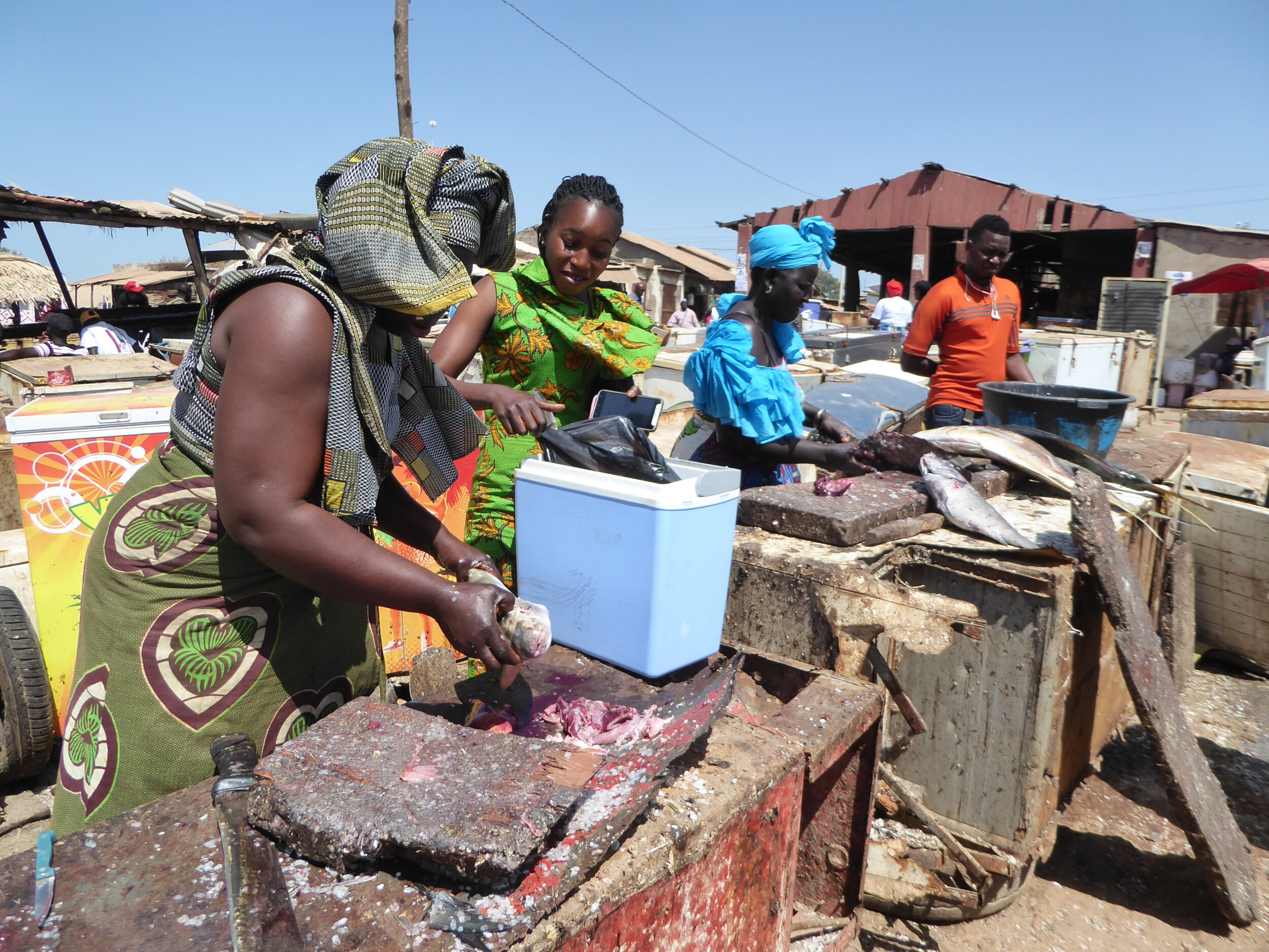 Vismarkt Tanji Gambia - Zinvol Reizen