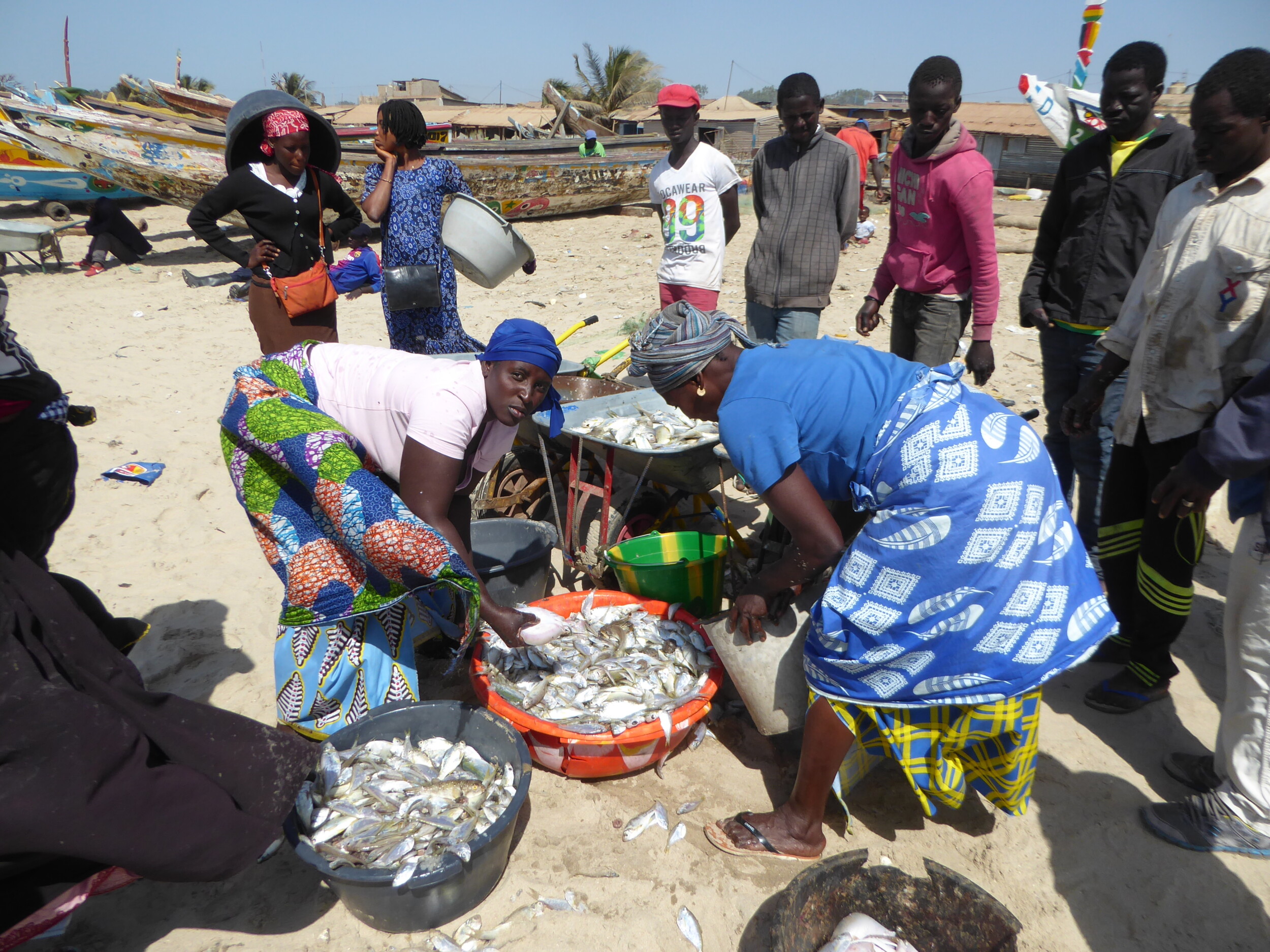 Fietsen naar de Vismarkt van Tanji in The Gambia