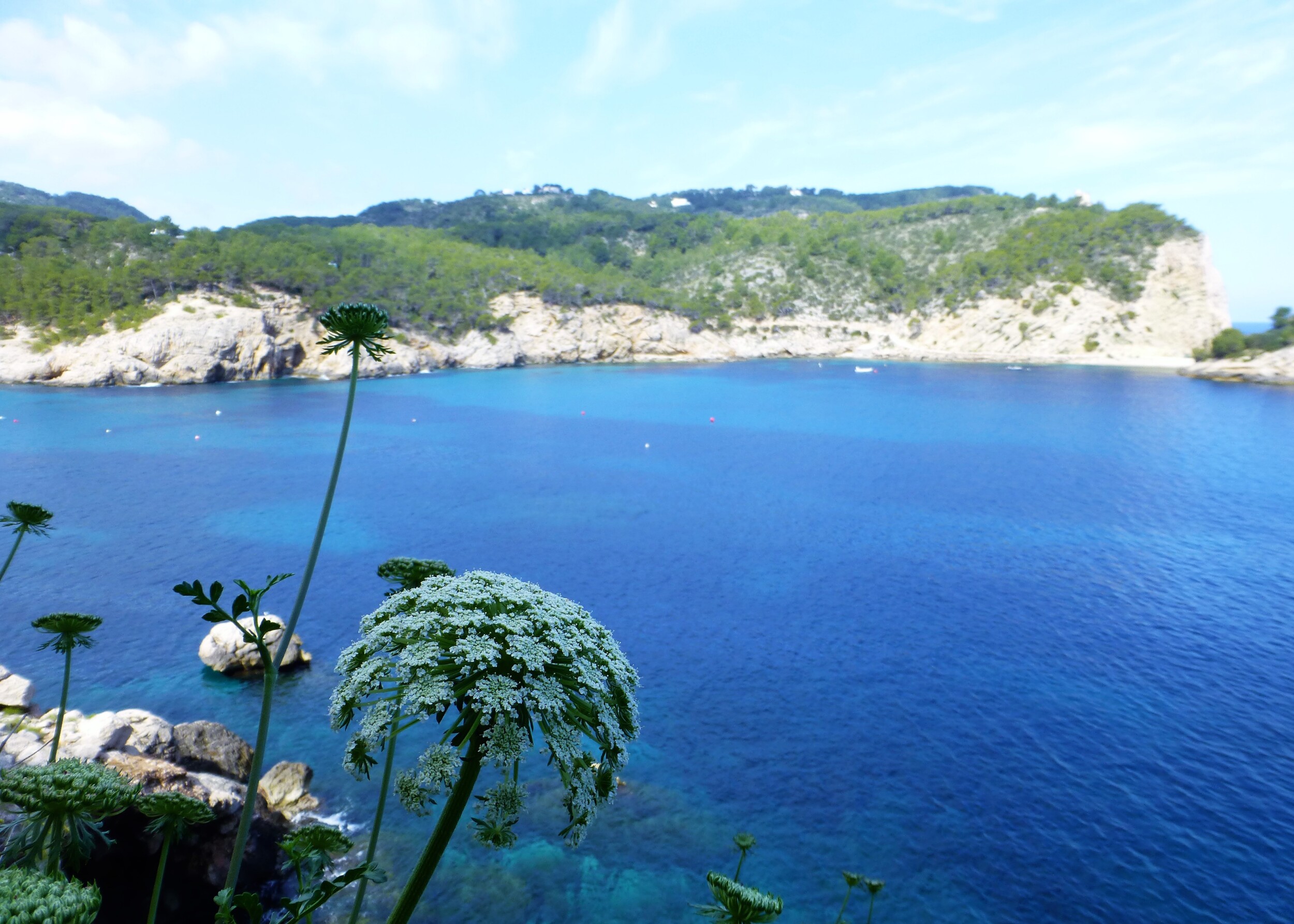 Eerste Keer Ibiza: Jouw Complete Reisgids voor 2025