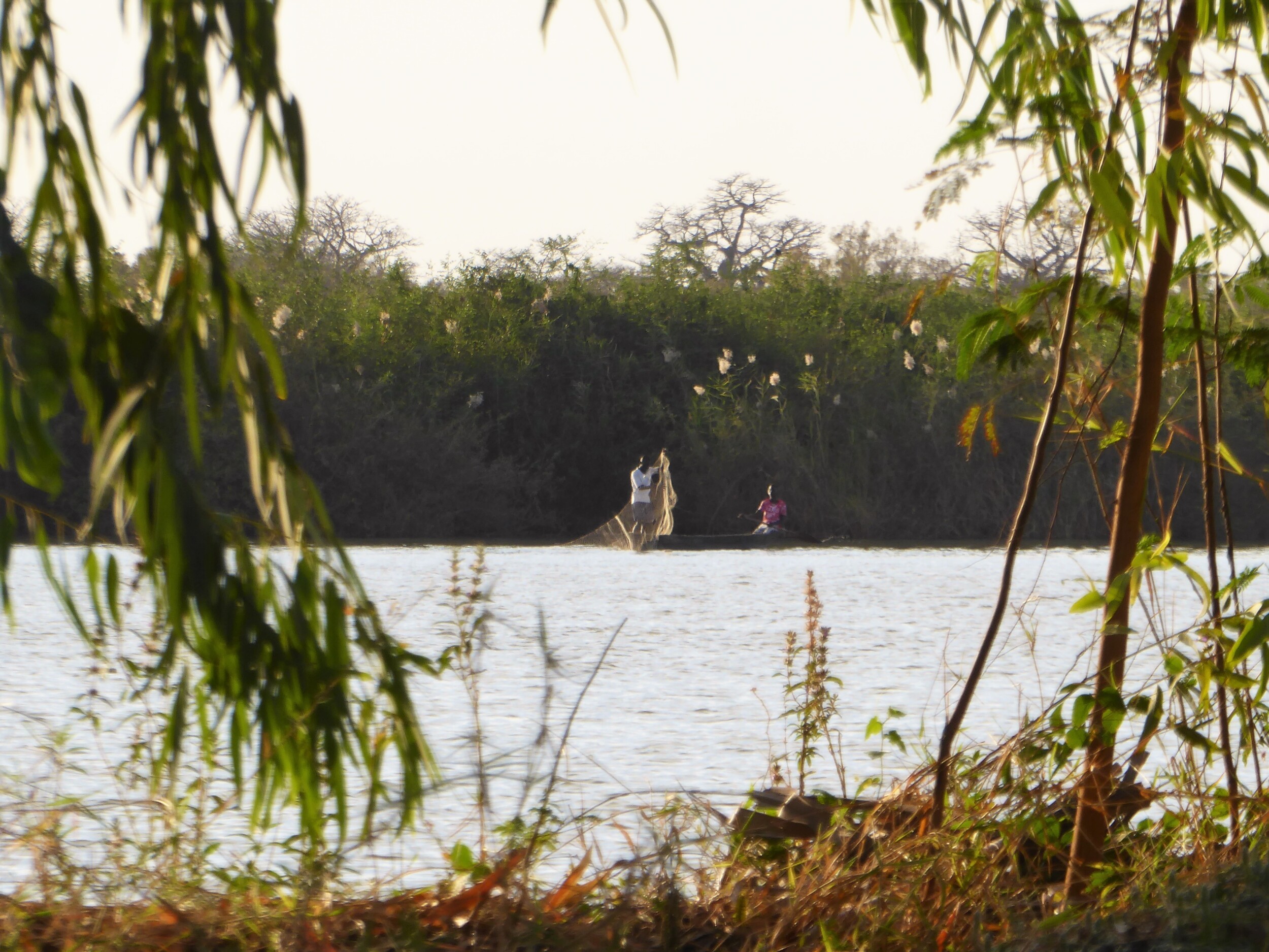 Mensen aan het vissen in de Gambia river