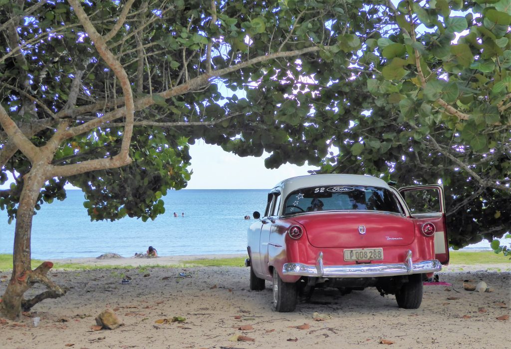 Wat te doen in Playa Larga Cuba