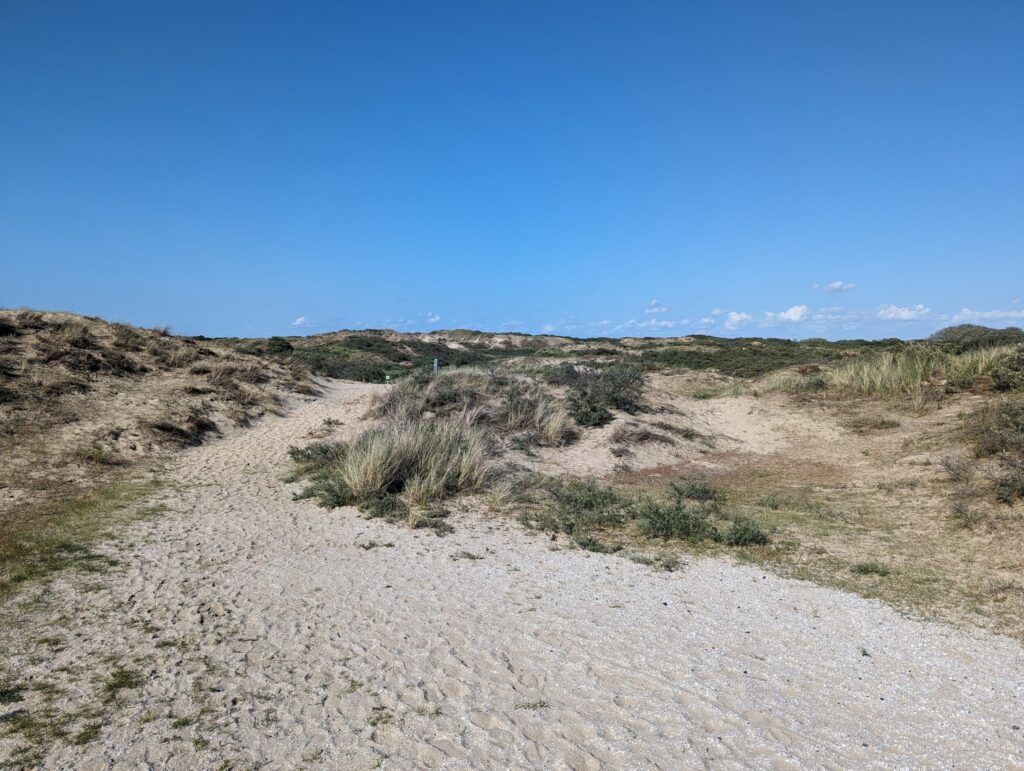 Duinen bij Den Haag Kustpad