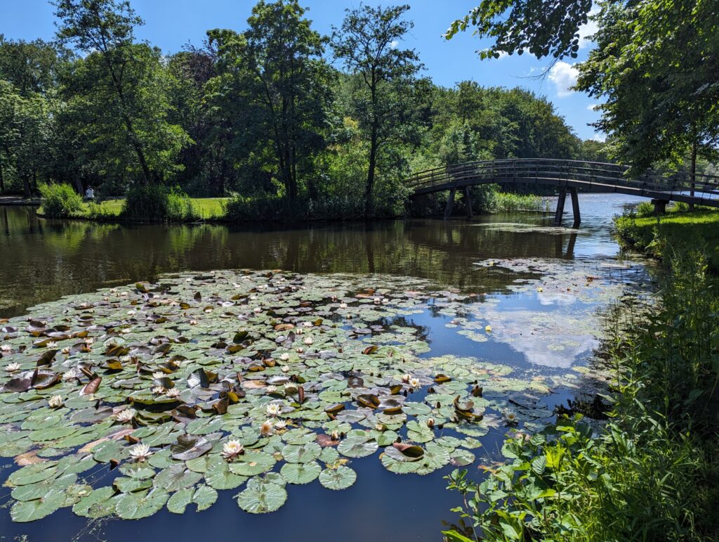 Wandelen op het kustpad - Haagse bos Den Haag