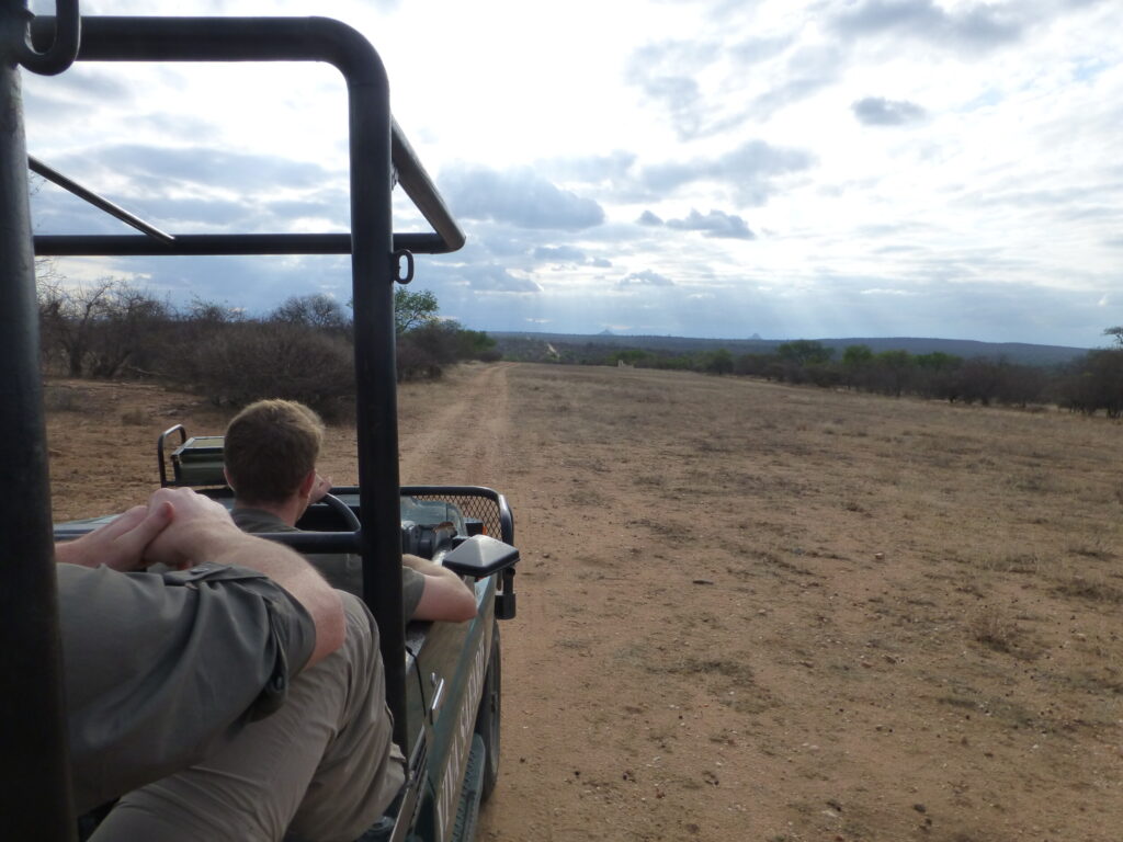 Op Safari - Bezoek Kruger NP Zuid Afrika