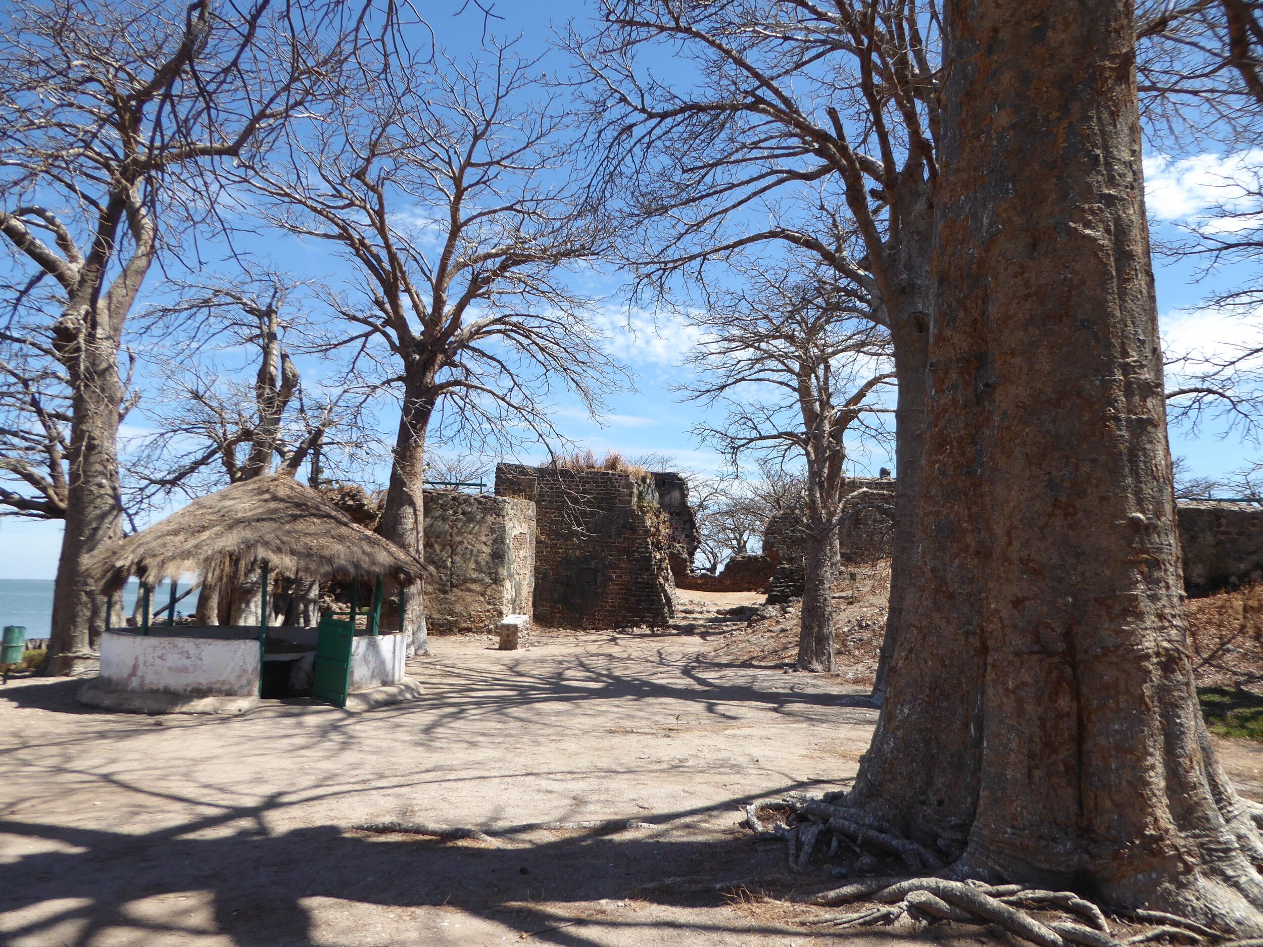 Fort James Island Gambia bezoeken