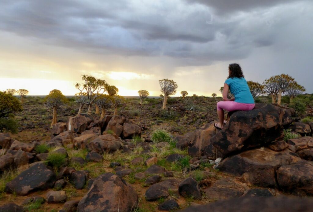 Unique Spot Quiver Tree Forest