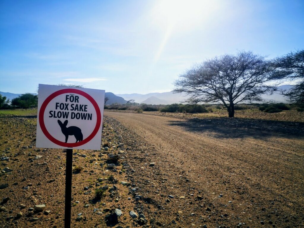 Solo Rondreis Namibië met 4WD - 10.000 km Alleen in Namibië rondreizen