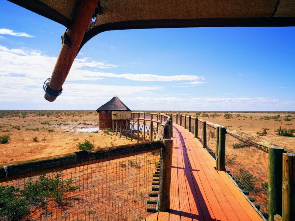 Olifantsrus in Etosha NP - Namibië