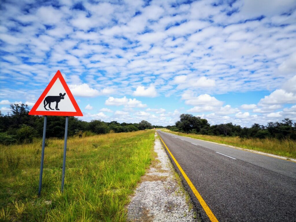  The long and good roads of Namibia