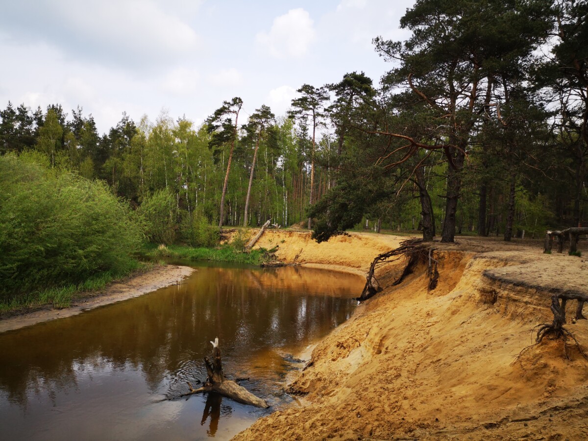 Wandelen in Twente - De Lutte Florilympha