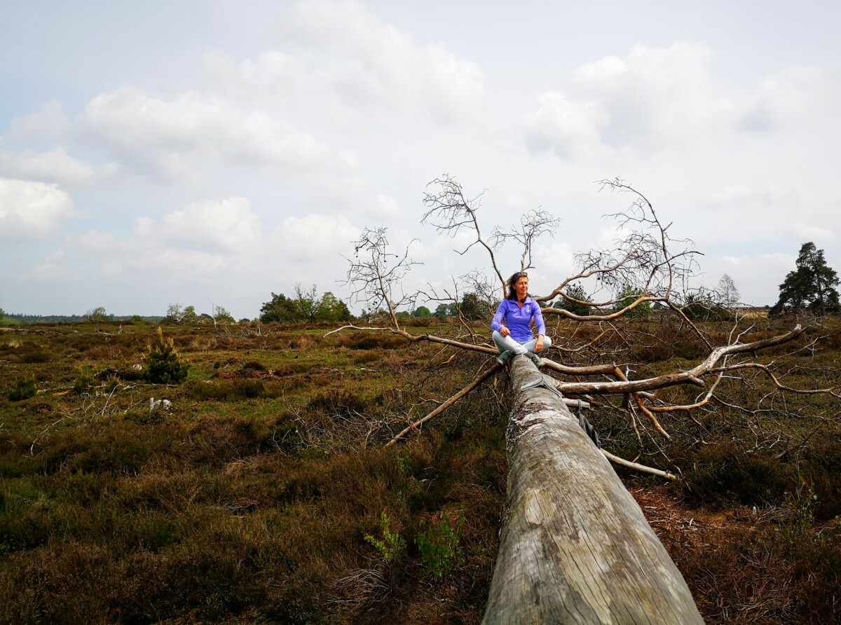 Even spelen en balansen onder het wandelen over de heide