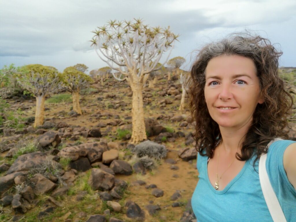 Visit the Unique Quivertree Forest and Giant's Playground - Keetmanshoop, Namibia