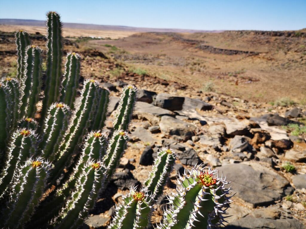 Bike- and hikingtours near Canyon Roadhouse