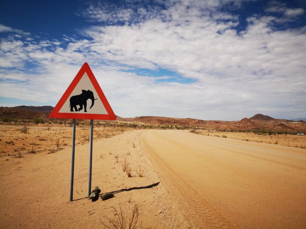 Highlights Damaraland - Long stretches of road in the desert