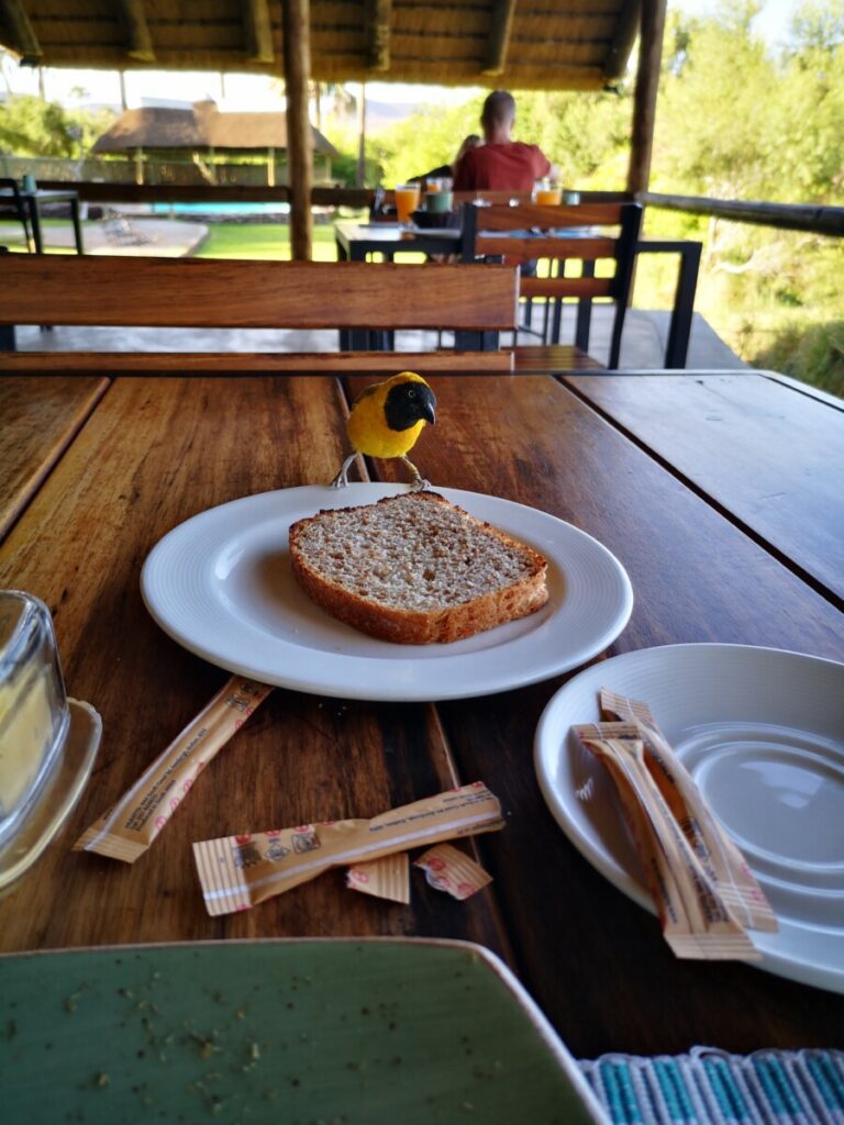 Breakfast at Palmwag - Highlights Damaraland